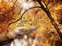 pic for Nature Autumn 